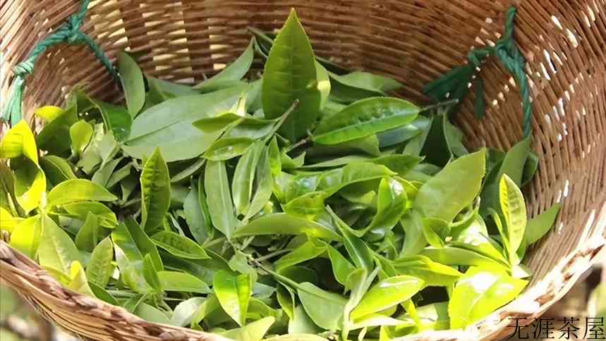 普洱茶水有多深？普洱茶有“假茶”吗？普洱茶如何作假？