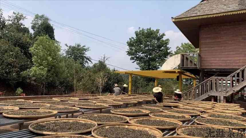 普洱茶水有多深？普洱茶有“假茶”吗？普洱茶如何作假？