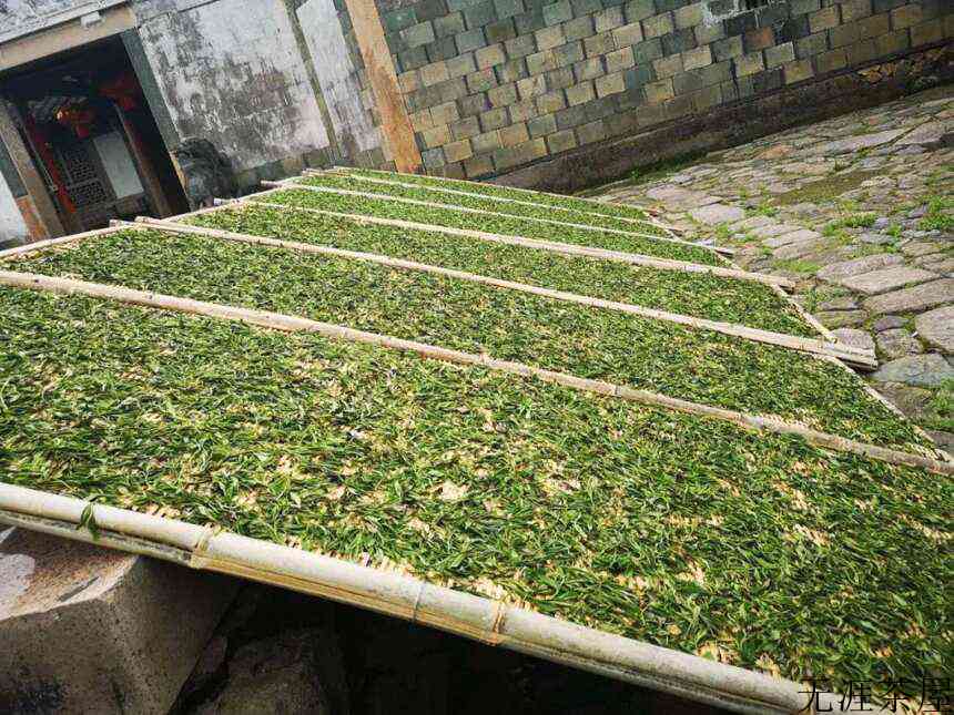 白茶，中国茶里的极简主义