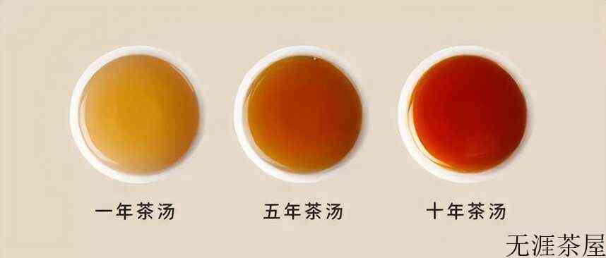 白茶，中国茶里的极简主义