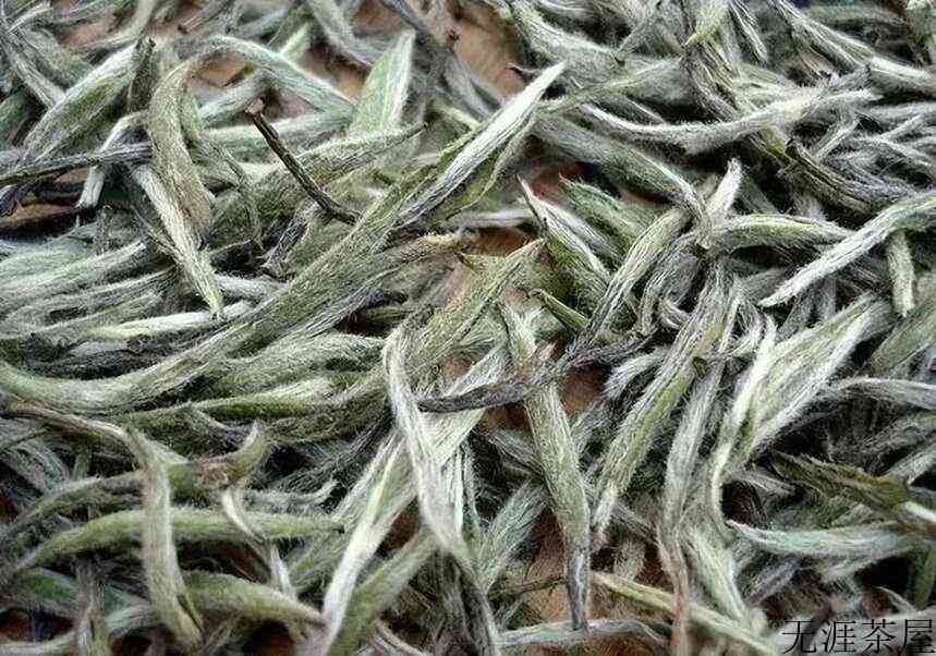 老白茶为什么好？用数据说话