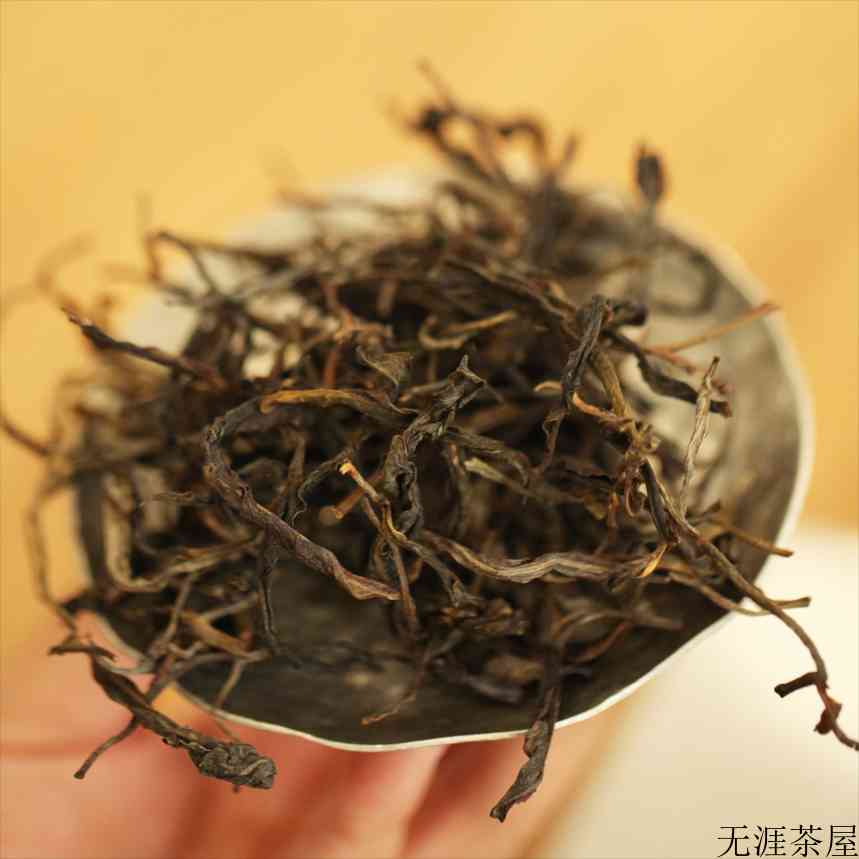2019年易武香椿林头春古茶：蜜韵甘醇，气韵皎然，生津回甘炸裂