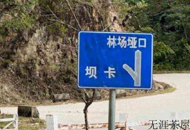 勐库十八寨之坝卡——西半山隐士，冰岛茶的嫁衣。