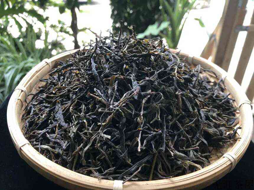 2022头春景迈古树茶品鉴报告