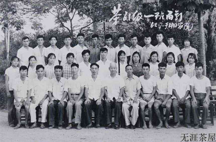 茶界「80后」苏芳华|不要叫「泰斗」，我只是个茶人