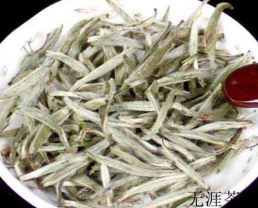 福鼎白茶是什么口感？