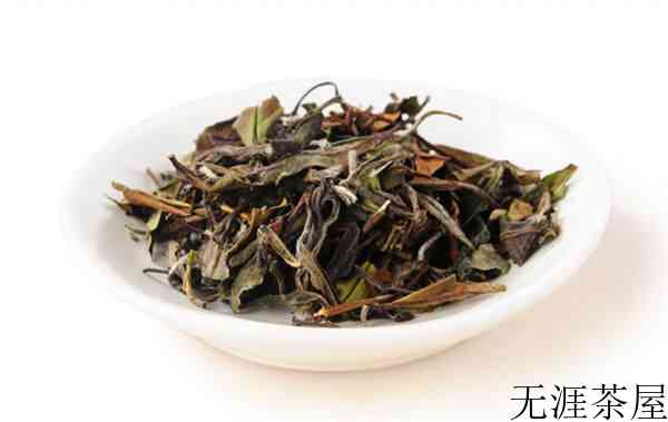 白茶知识全面解读
