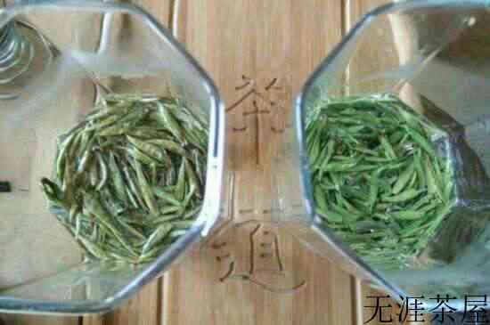 君山银针是黄针还是绿针好，君山银针特点