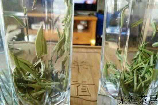 君山银针是黄针还是绿针好，君山银针特点