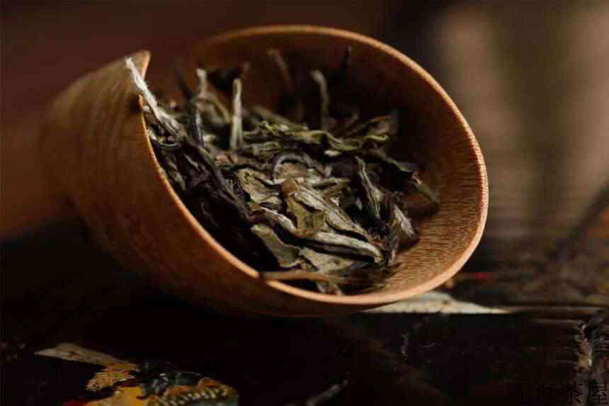 白茶看得见的干净
