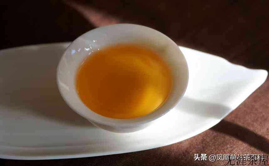 凤凰单丛茶-草兰单丛
