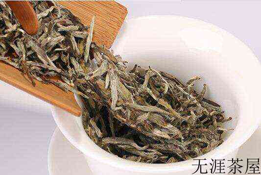 福鼎老白茶有哪些特点？