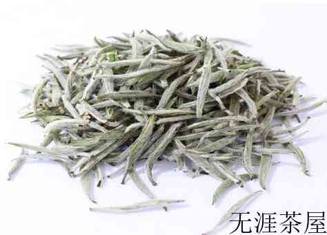 福鼎白茶哪个品种最好？
