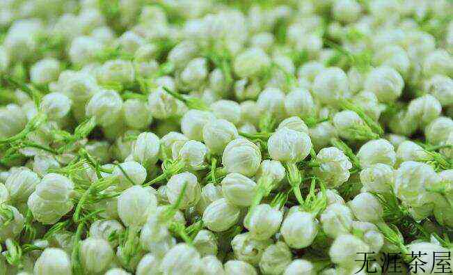 茉莉花的功效_茉莉茶叶的功效与作用