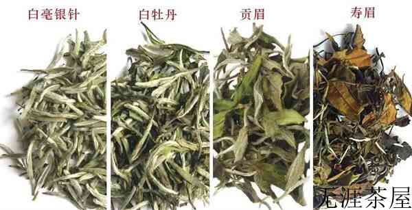 如何泡好老白茶？（老白茶的正确泡法）
