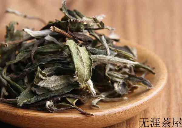 如何泡好老白茶？（老白茶的正确泡法）