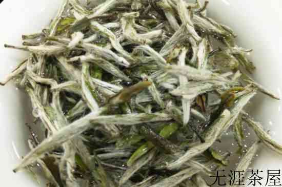 白茶类都有哪些品种