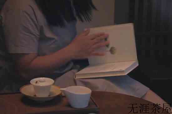 茶的起源