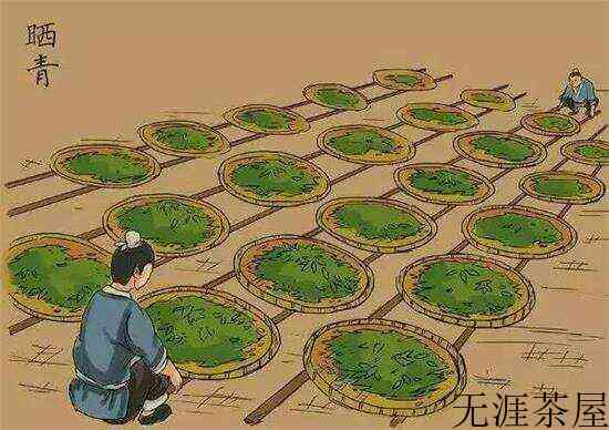 制茶八步骤_制茶工艺流程图