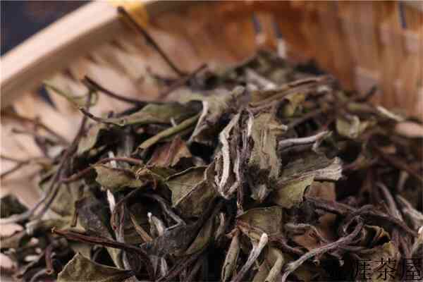白茶的国际范及多维度多元化