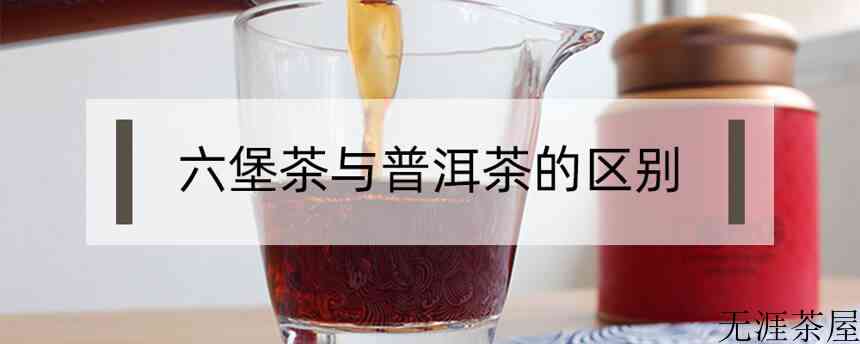 六堡茶与普洱茶的区别？（六堡茶与普洱茶的区别）