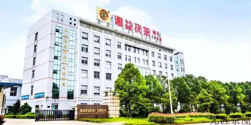 刘仲华院士：安化黑茶保健功效研究（三）从边销茶到品牌化
