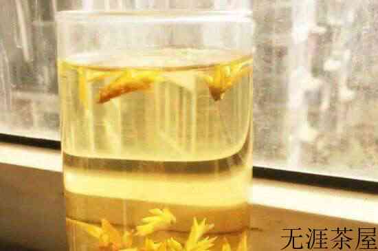 老鹰茶是什么茶