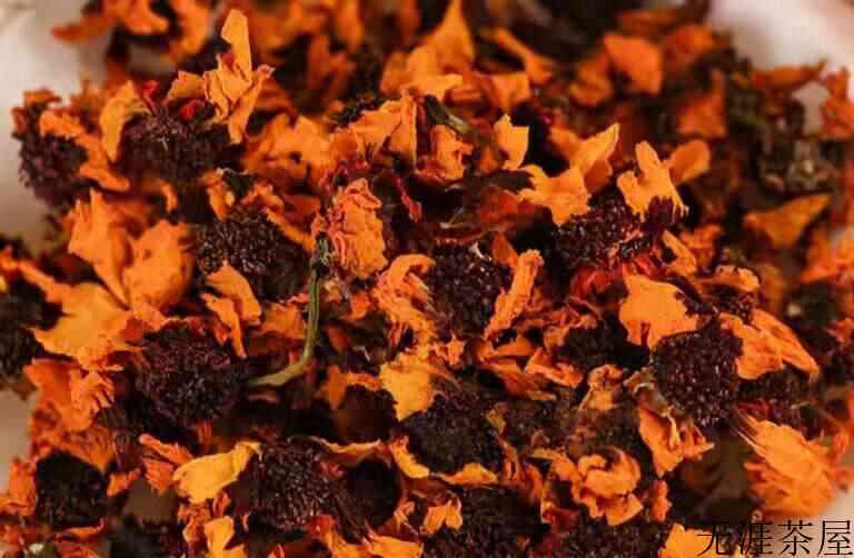 昆仑雪菊长什么样子