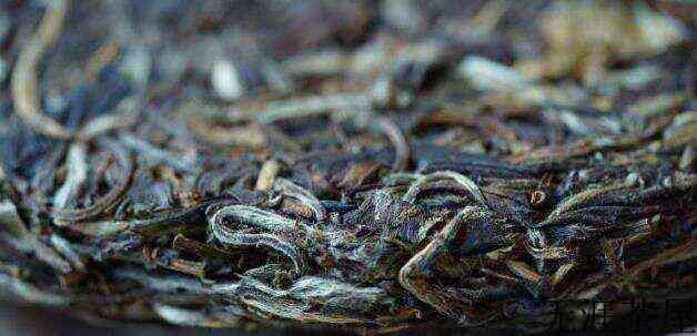 白牡丹属于什么茶？白牡丹茶的制作工艺