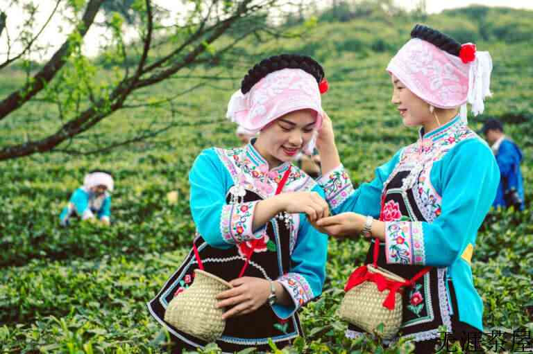 都匀毛尖属于什么茶（都匀毛尖特征产地由来）