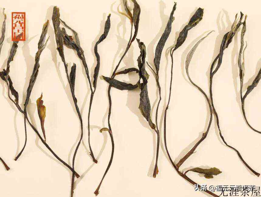 好味道与好未来就藏在“大长腿”源自森林古茶群落