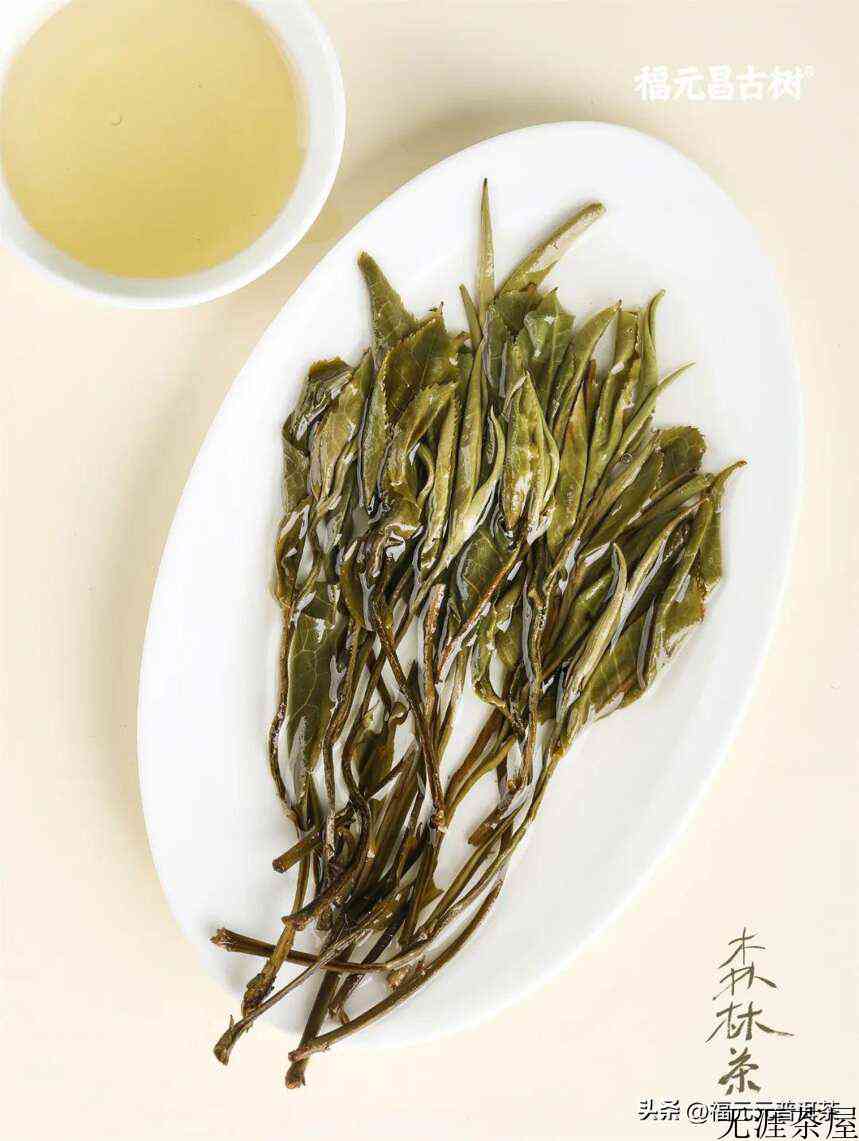 好味道与好未来就藏在“大长腿”源自森林古茶群落