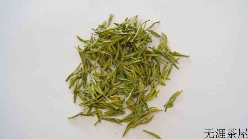 安吉白茶是什么茶（安吉白茶和福鼎白茶哪种好）