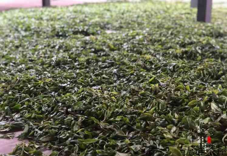 野生古树红茶介绍（古树红茶产地与特点）