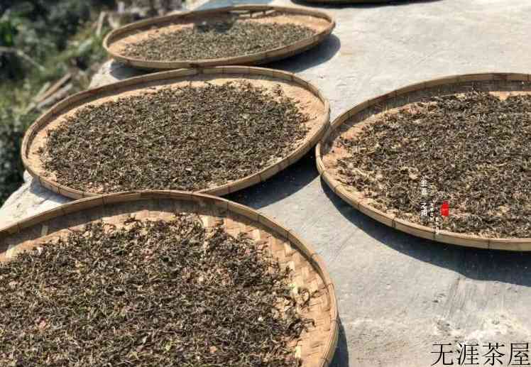 野生古树红茶介绍（古树红茶产地与特点）