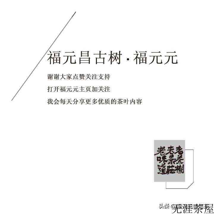 冬日煮茶，一壶享惬意