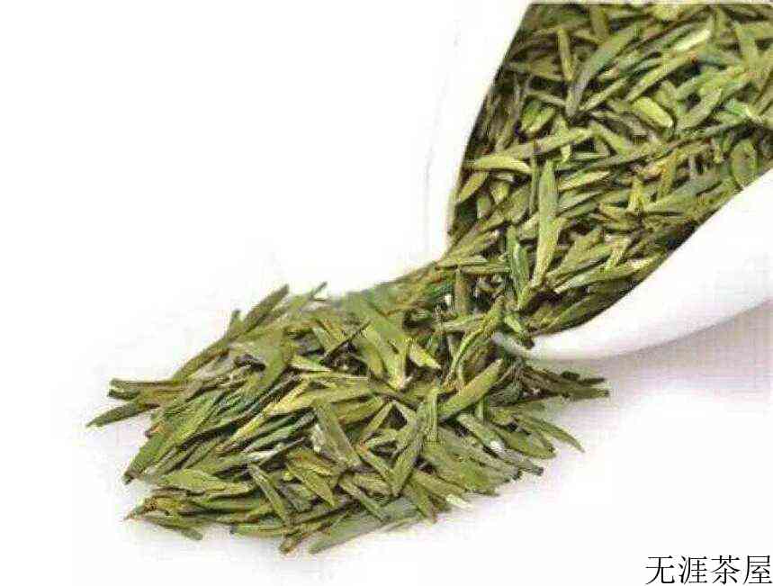 哪家春茶来的早？来温州品乌牛早