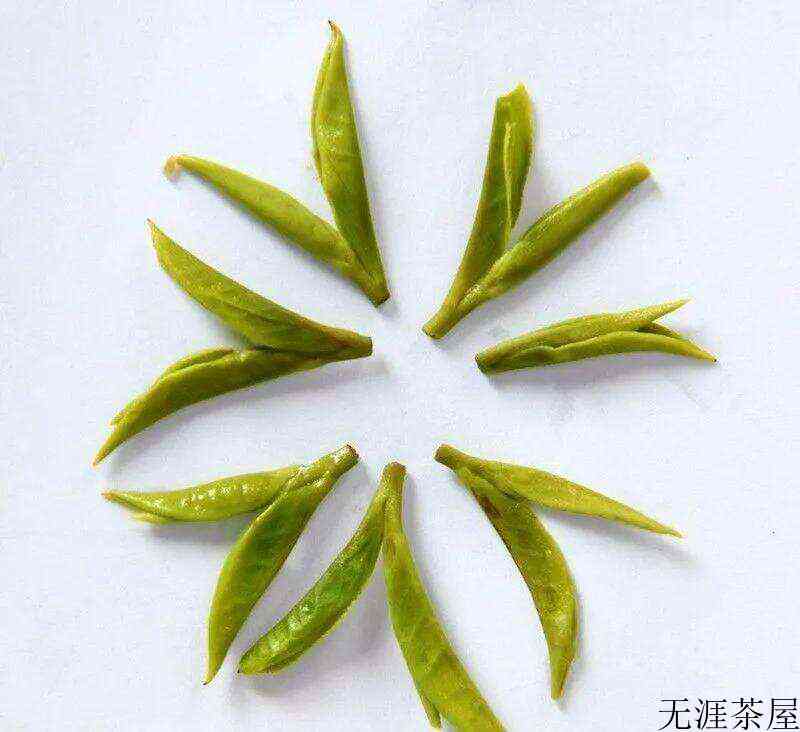 哪家春茶来的早？来温州品乌牛早