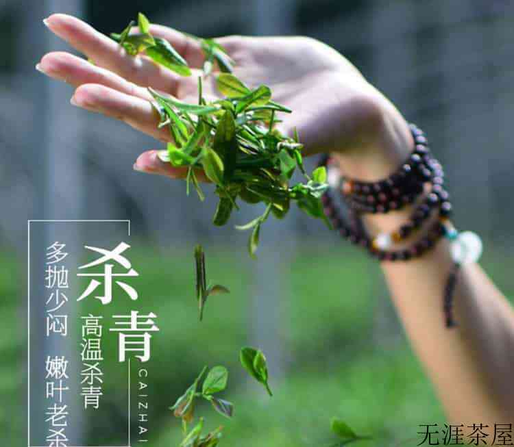 【收藏】普陀佛茶制作工艺与流程图