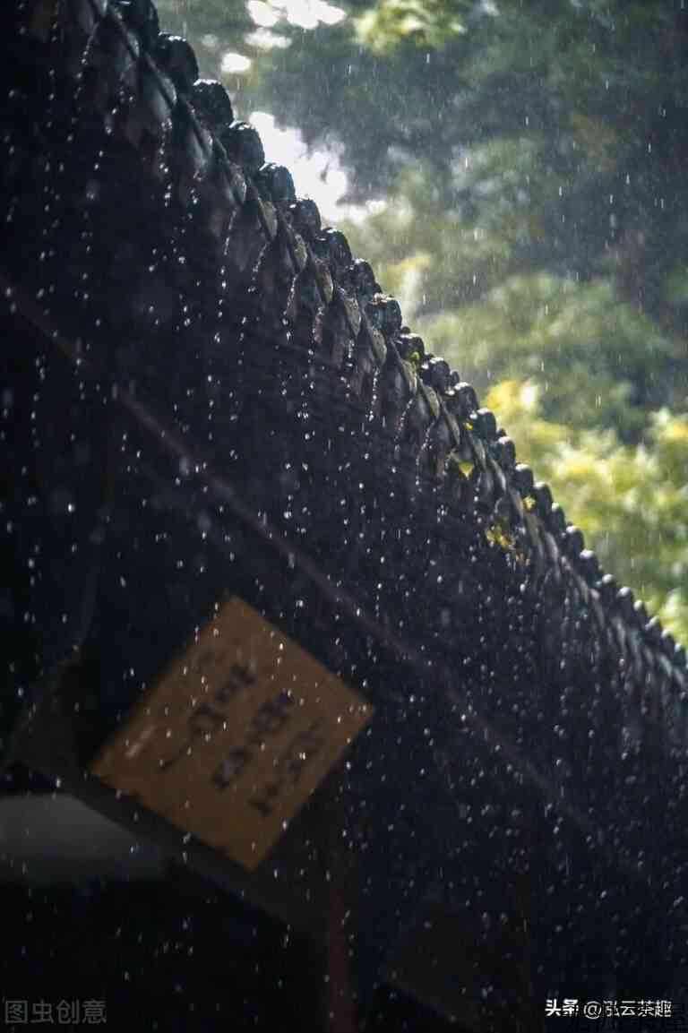 西湖龙井茶知识文化介绍，西湖龙井茶简介介绍