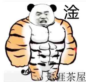 全面开放，橘猫富贵治好了我的精神内耗