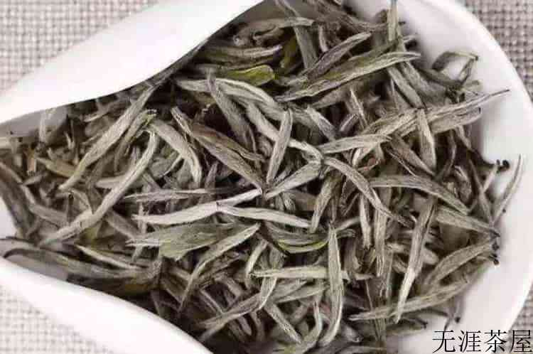 白毫银针在茶叶中排名第几_白毫银针属于高档茶吗？