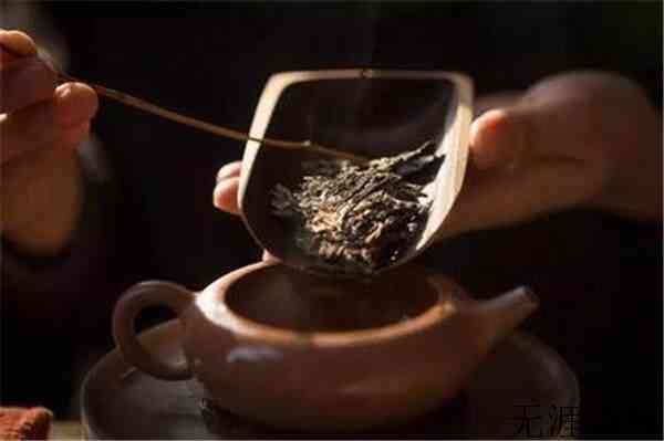 白茶好不好关键看原料,什么样的茶青才能做出高品质的白茶