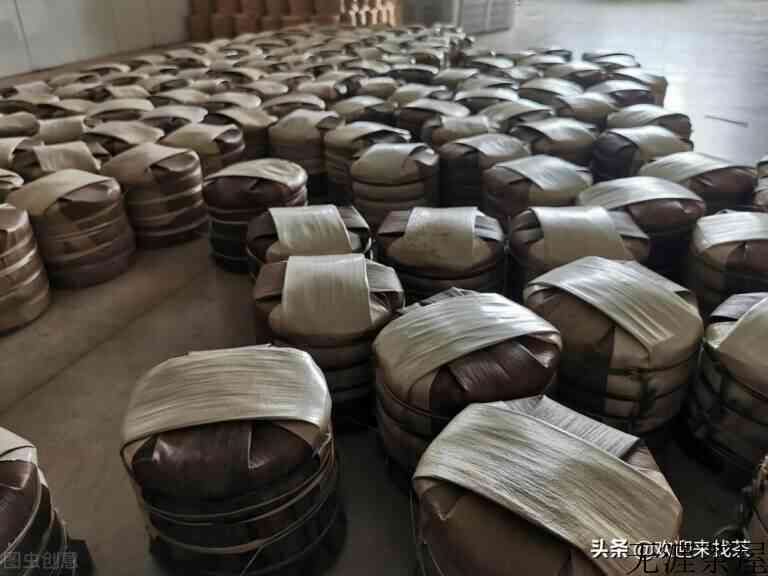 普洱茶树龄越大越好吗（树龄与茶叶品质的关系）
