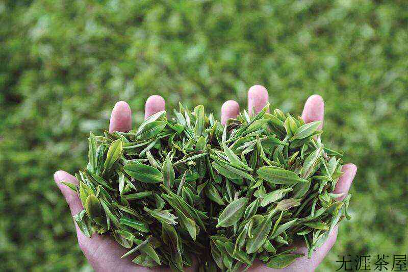 国际茶日&小满丨双节同庆 共饮有机茶