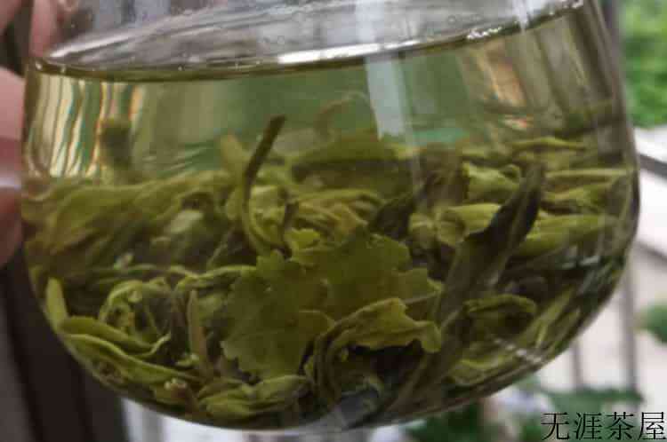 狗牯脑茶的禁忌_狗牯脑茶的功效与禁忌