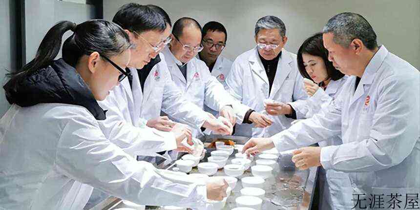 陈岩茶能喝？存了那么久，谁能保证不发霉？