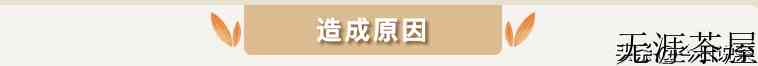 茶馆浅论