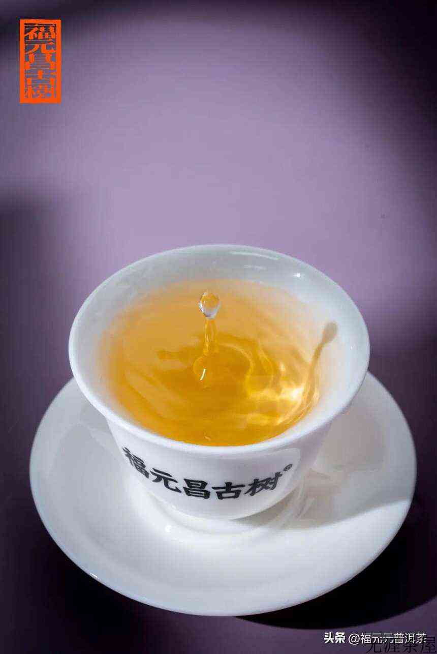 贡茶之美，森林曼松