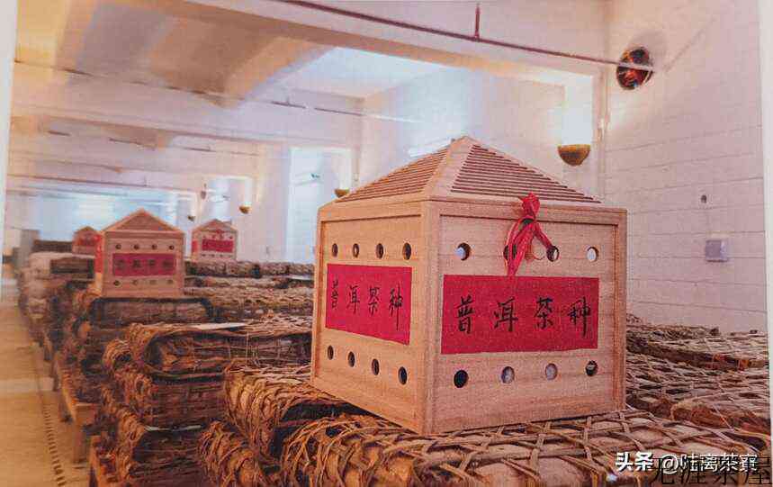 陈永堂与双陈普洱：深耕仓储，野望未来